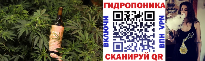 Купить закладки  Гусиноозёрск  Еда ТГК конопля 