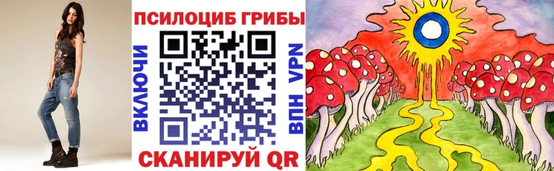 Псилоцибиновые грибы прущие грибы Купить где Гусиноозёрск